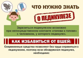«Памятка для родителей и педагогических работников, сопровождающих детей в поездках, лагерях или при организации мероприятий в период школьных каникул по профилактике педикулеза «Памятка для родителей и педагогических работников, сопровождающих детей в поездках, лагерях или при организации мероприятий в период школьных каникул по профилактике педикулеза.